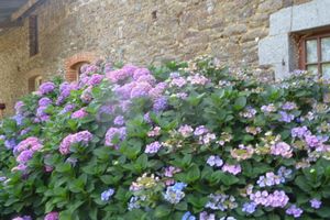 Alojamiento - Chambres Les Champs de Roz