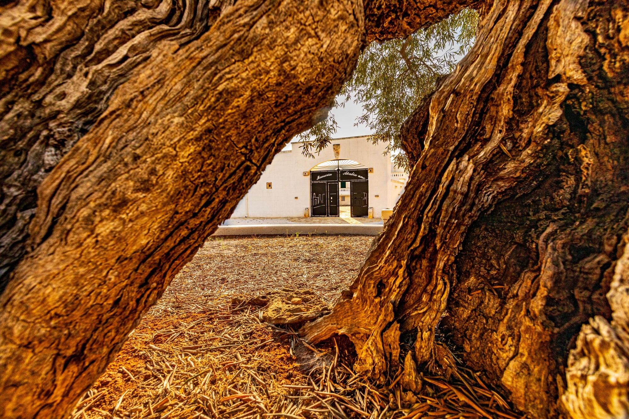 Vista Exterior Masseria Abadia Uno