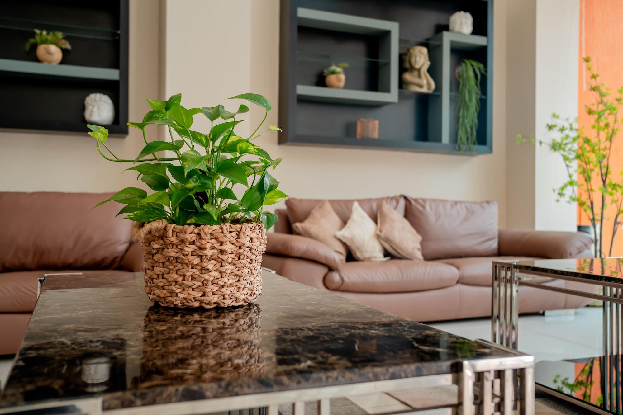 Vista Lobby Megal Suites Hotel