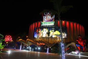 Actividad - Coco Bongo Punta Cana