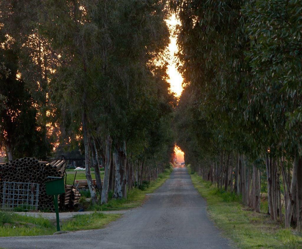 Vista Lobby Agriturismo Magnaboschi
