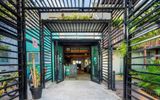 Mayan Monkey Cancun | Social Hotel