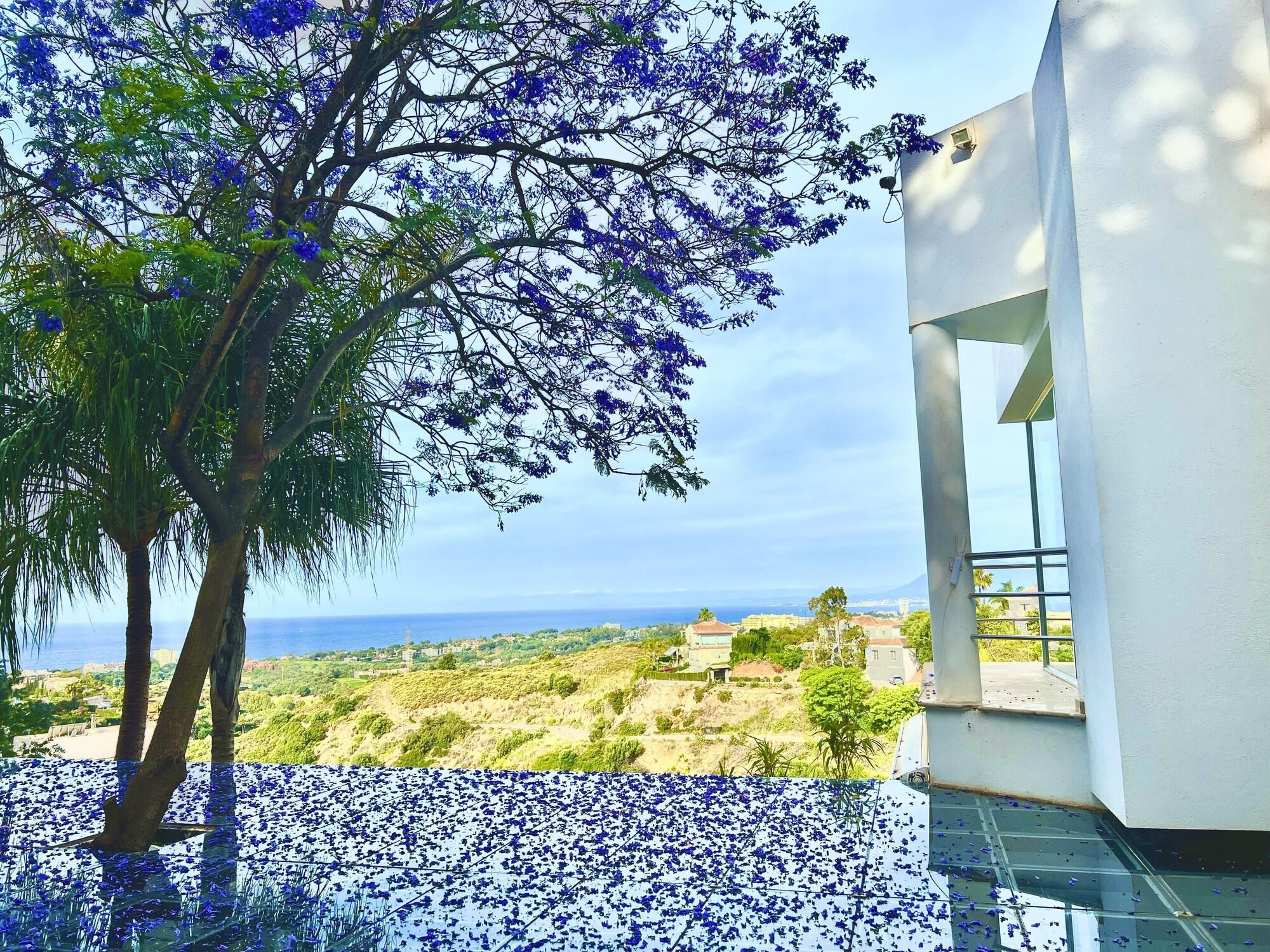 Vista Exterior Marbella Boutique Art