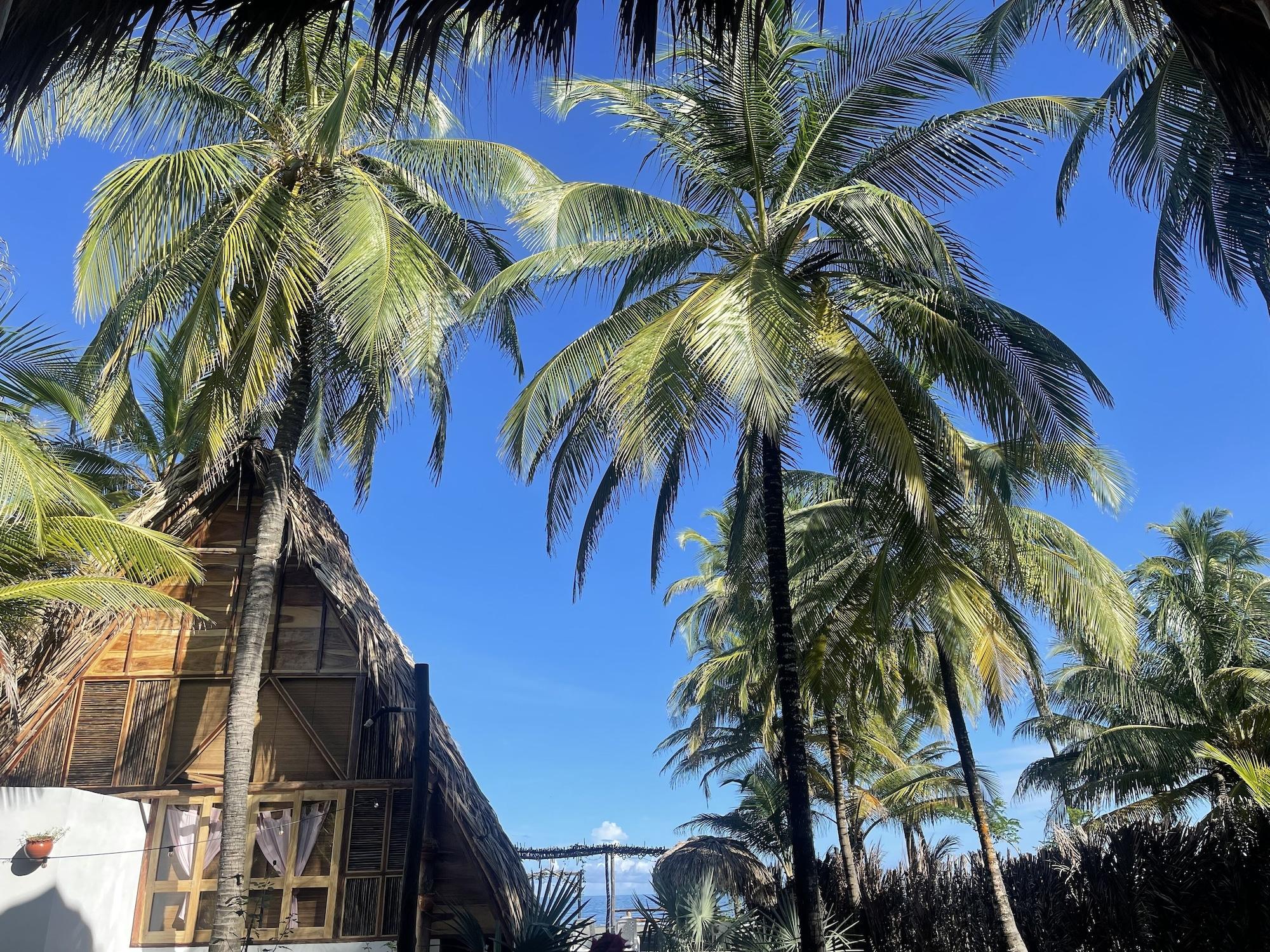 Vista Exterior alanacasadeplaya