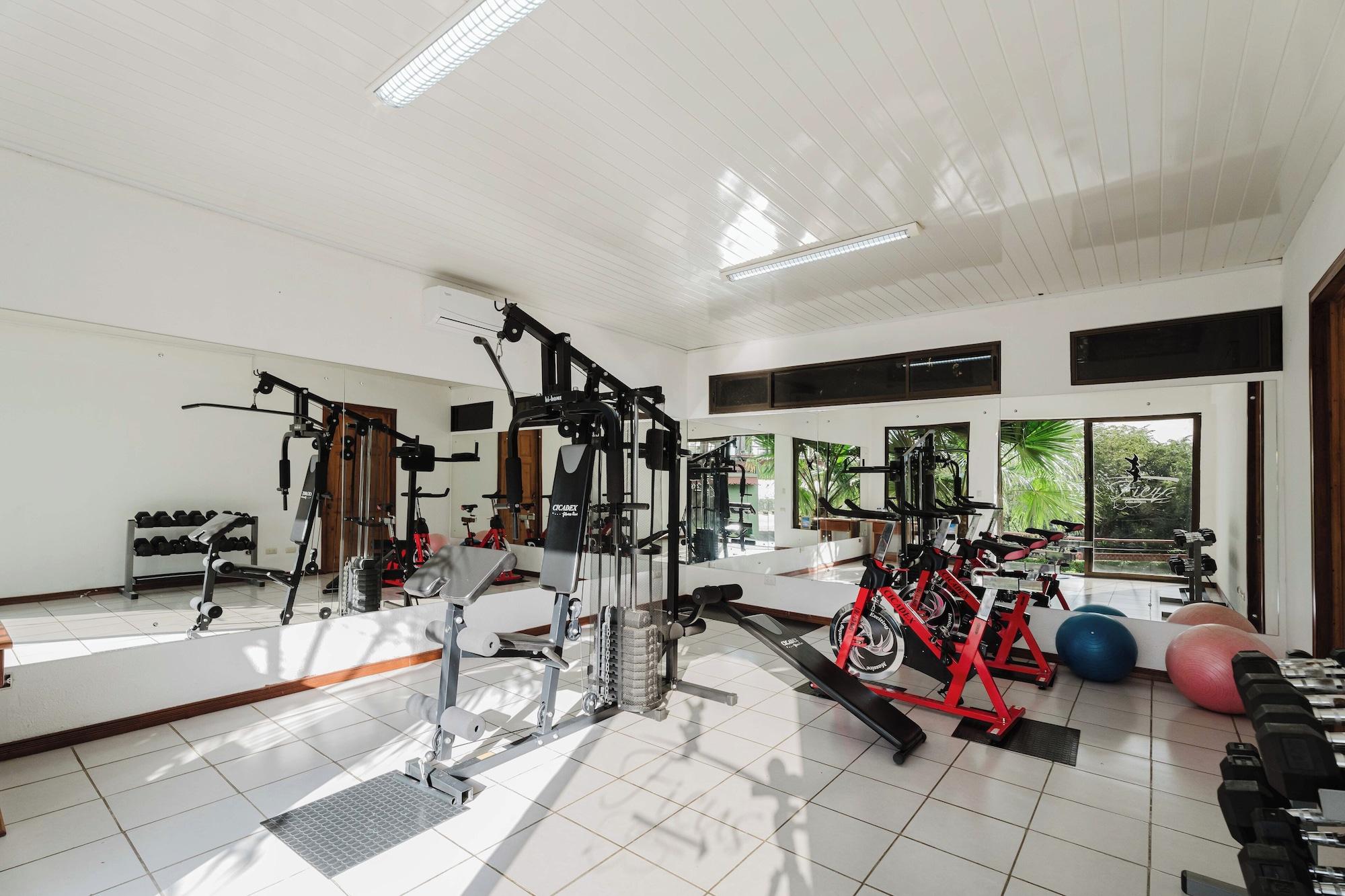 Gimnasio Ficus Sunset Suites