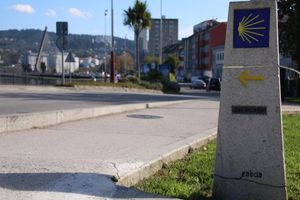 Actividad - Tour privado por Pontevedra