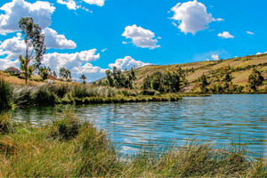 Activity - PIK - Huancayo: Ñahuipuquio Lagoon