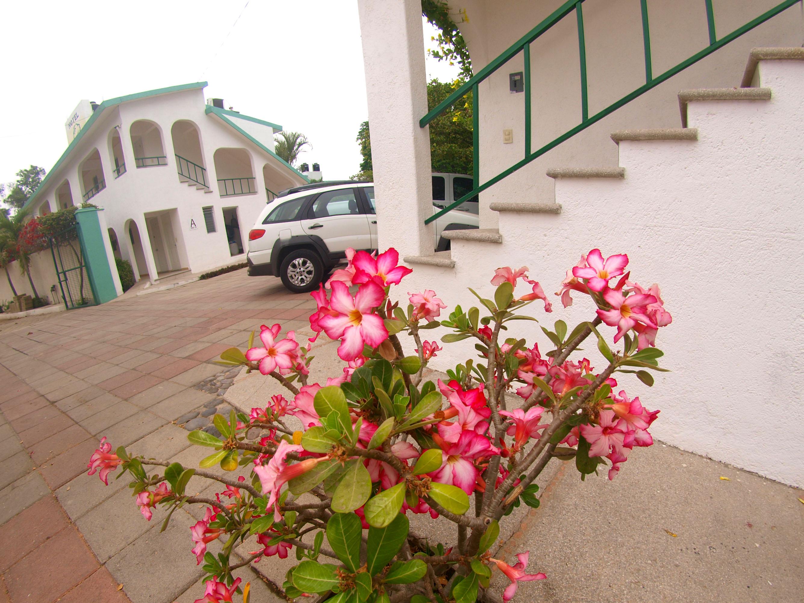 Vista Exterior Hotel Parotas