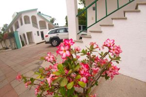 Alojamiento - Hotel Parotas