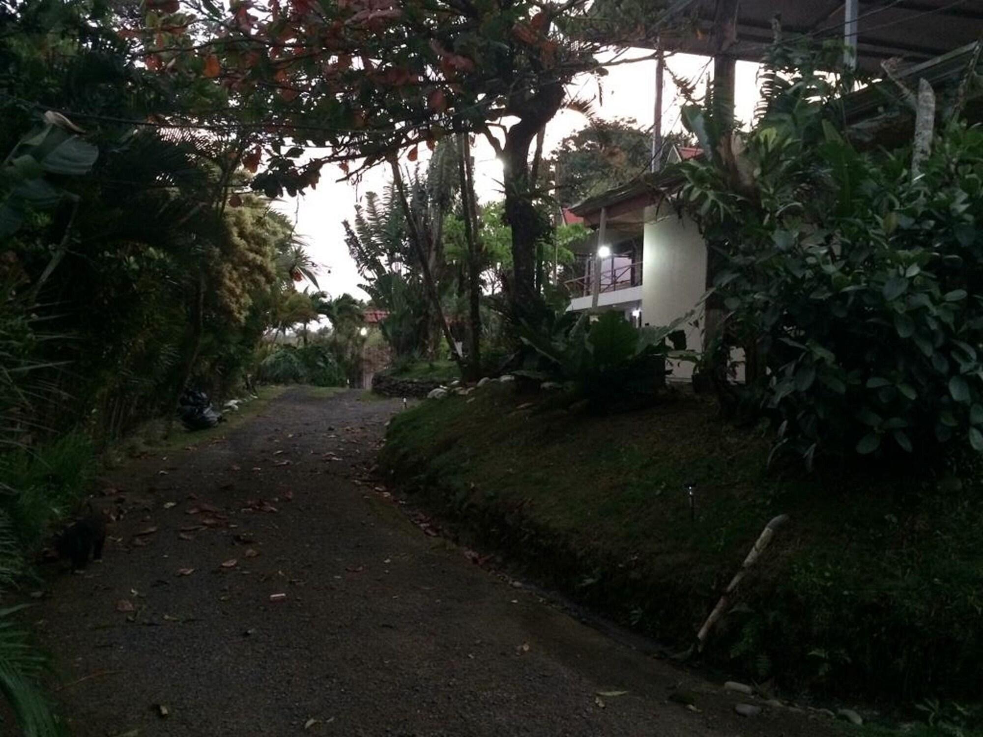 Vista Exterior Hotel Brisas Del Volcán Platanar