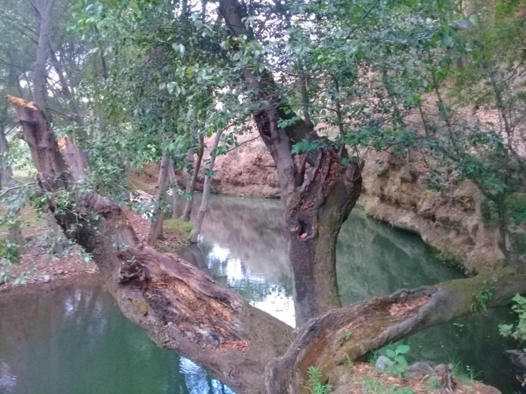 Varios Rancho San Miguel