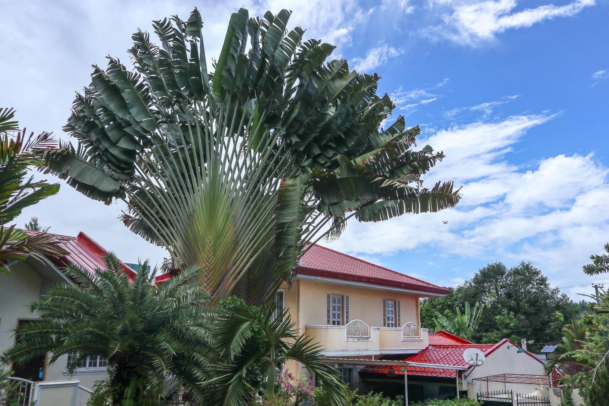 Vista Exterior RQS Hostel