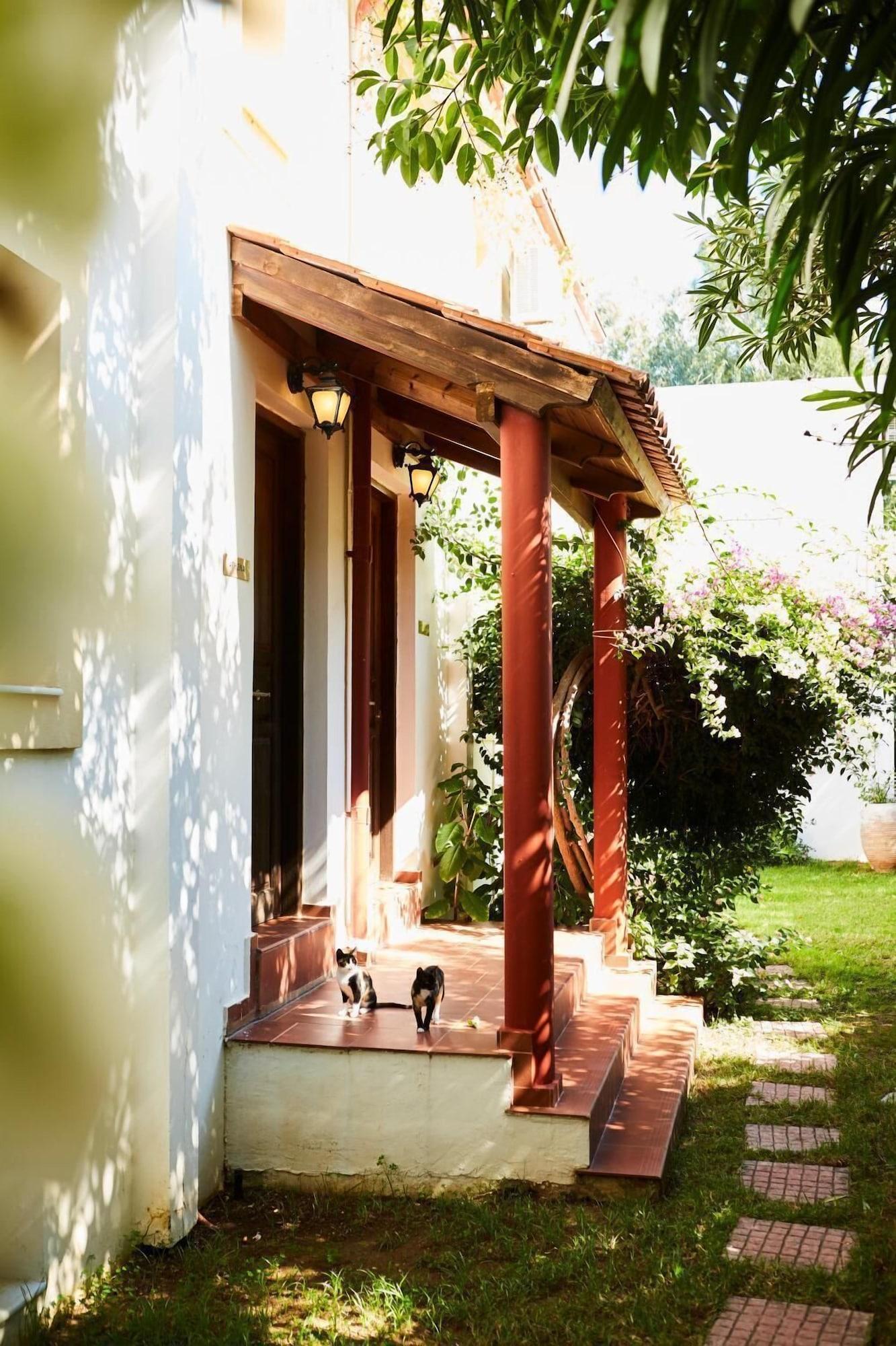 Vista Exterior Vamos Palace