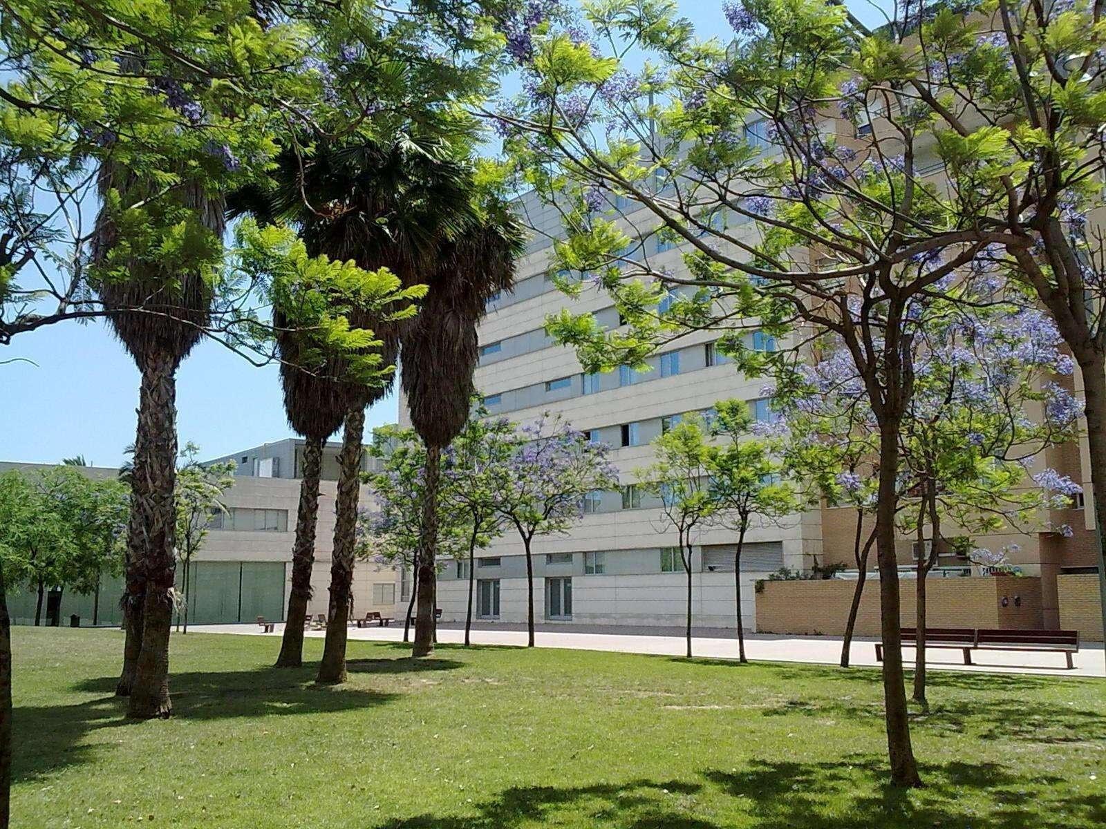Vista Exterior Hotel Best Front Maritim