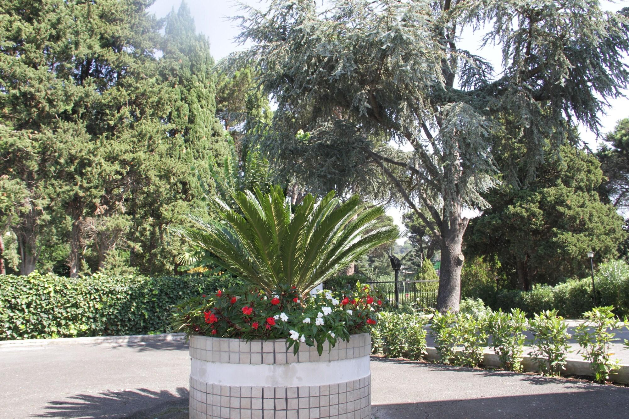 Vista Exterior Hotel Boomerang