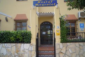 Alojamiento - Hostal Moscatel