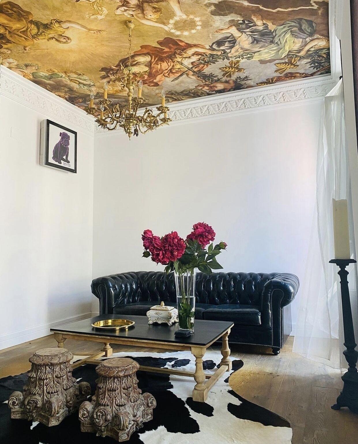 Varios Purple Dog Suites