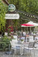 Alojamiento - Gasthof Waldcafe