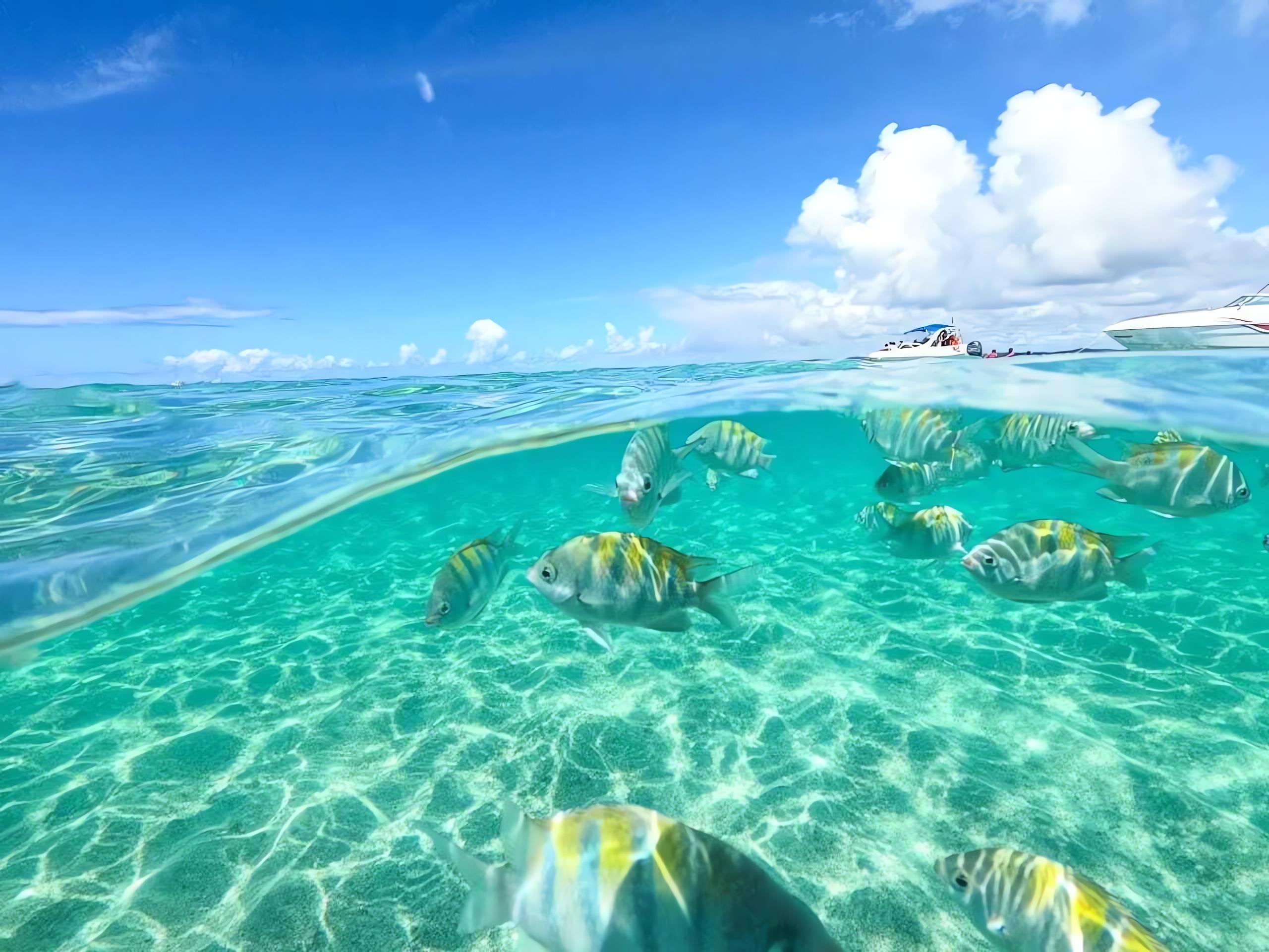 Playa Pousada dos Cabanos