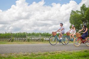 Actividad - Bike por los viñedos