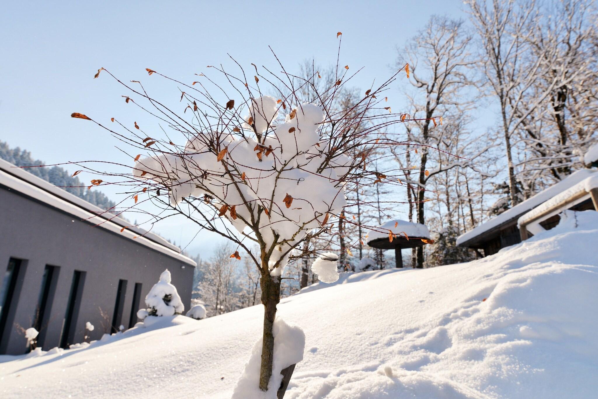 Vista Exterior Forsthaus Graseck