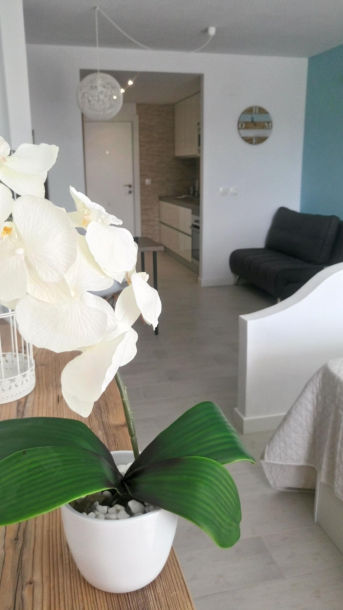 Set de Habitación Estudio Ally