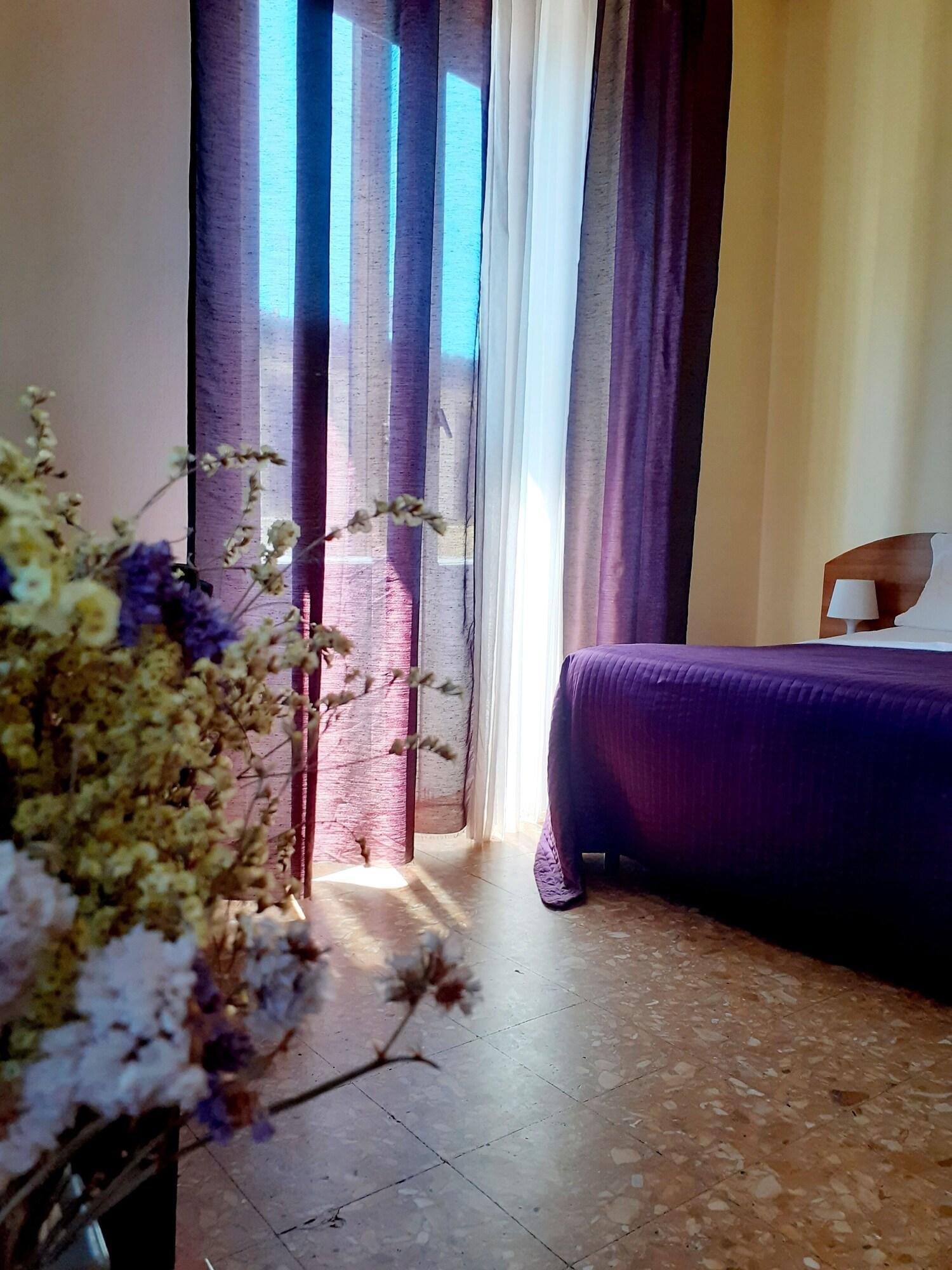 Varios Novella Italy