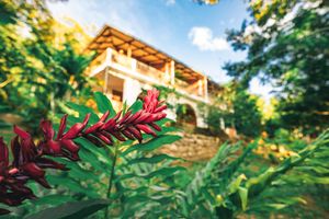 Alojamiento - Los Huingos Eco Lodge