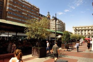 Alojamiento - Apartamentos Boutique Catedral