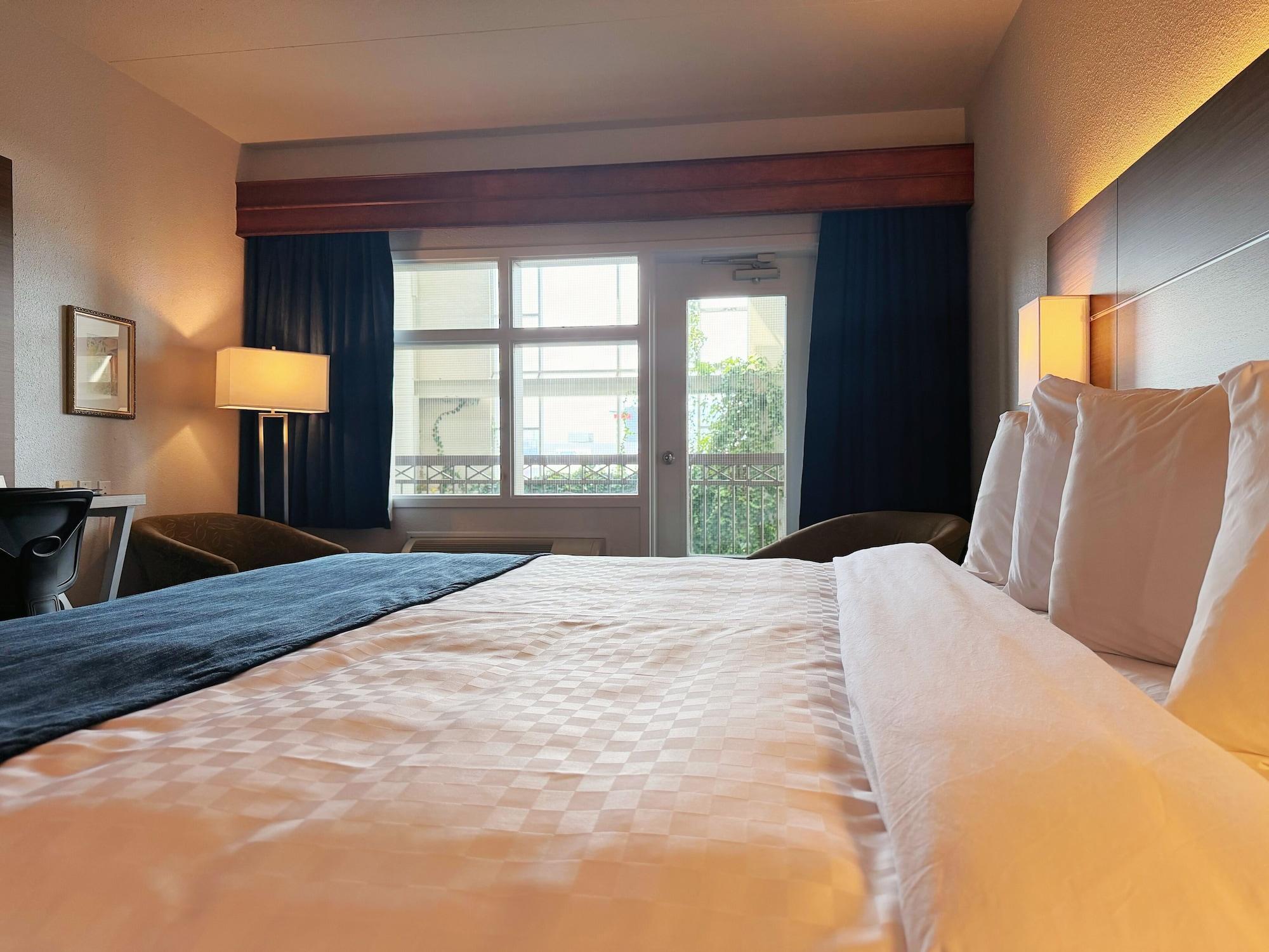 Habitación Hotel L'Oie des neiges