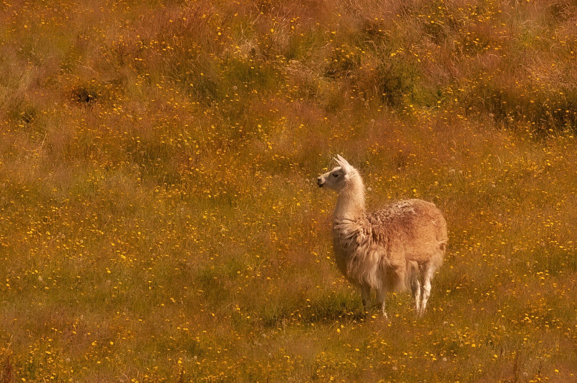Instalaciones Recreativas Casa de la Oma