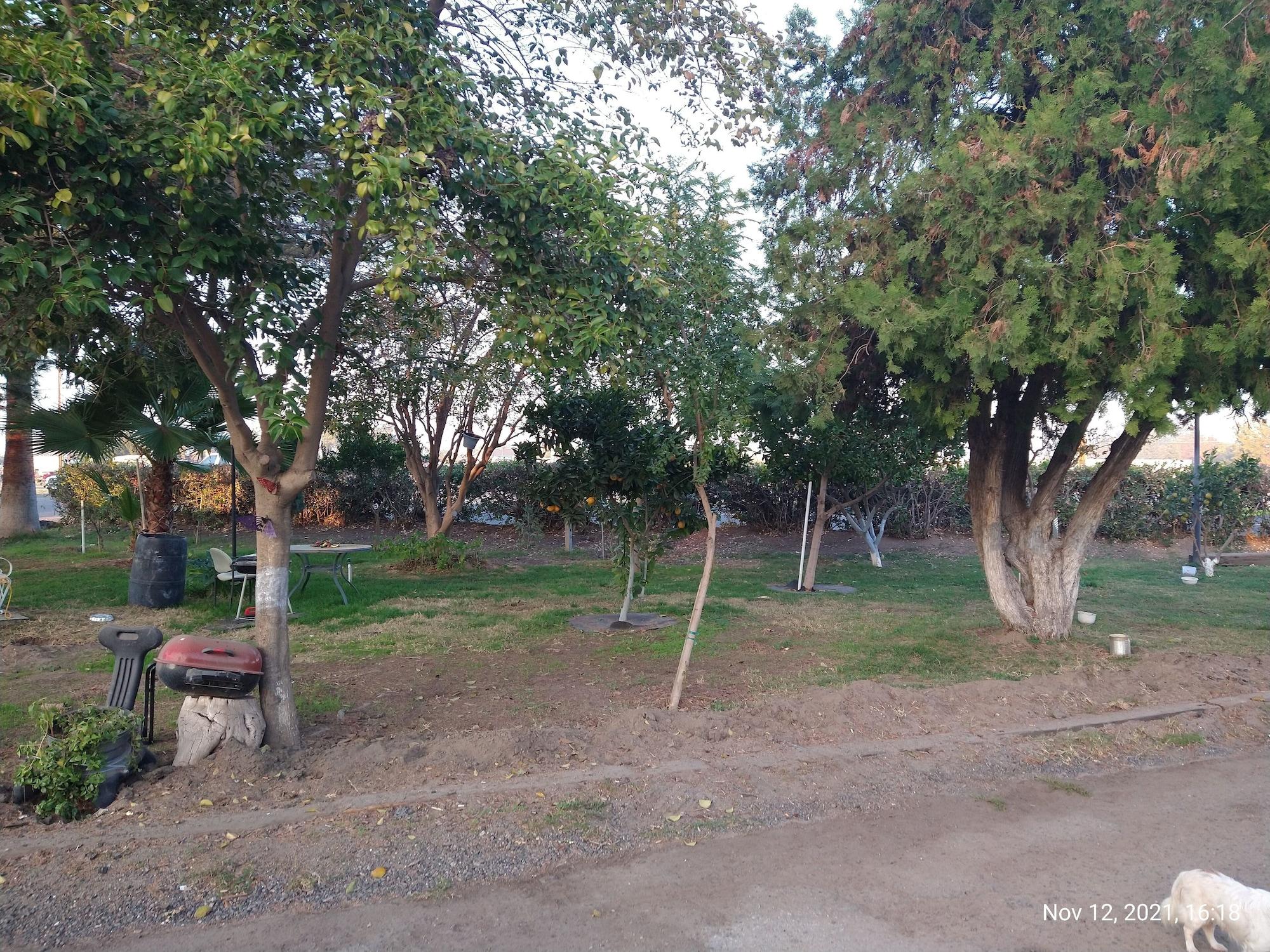 Vista Exterior EL Amigo Motel