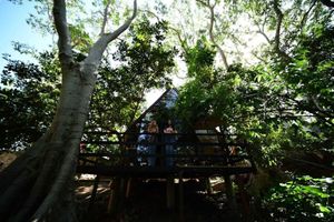 Alojamiento - Hotel cabañas yyukkai