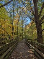 Arriendo temporal - Dunes Cottage at Town of Pines Lake Michigan near Indiana Dunes Parks!