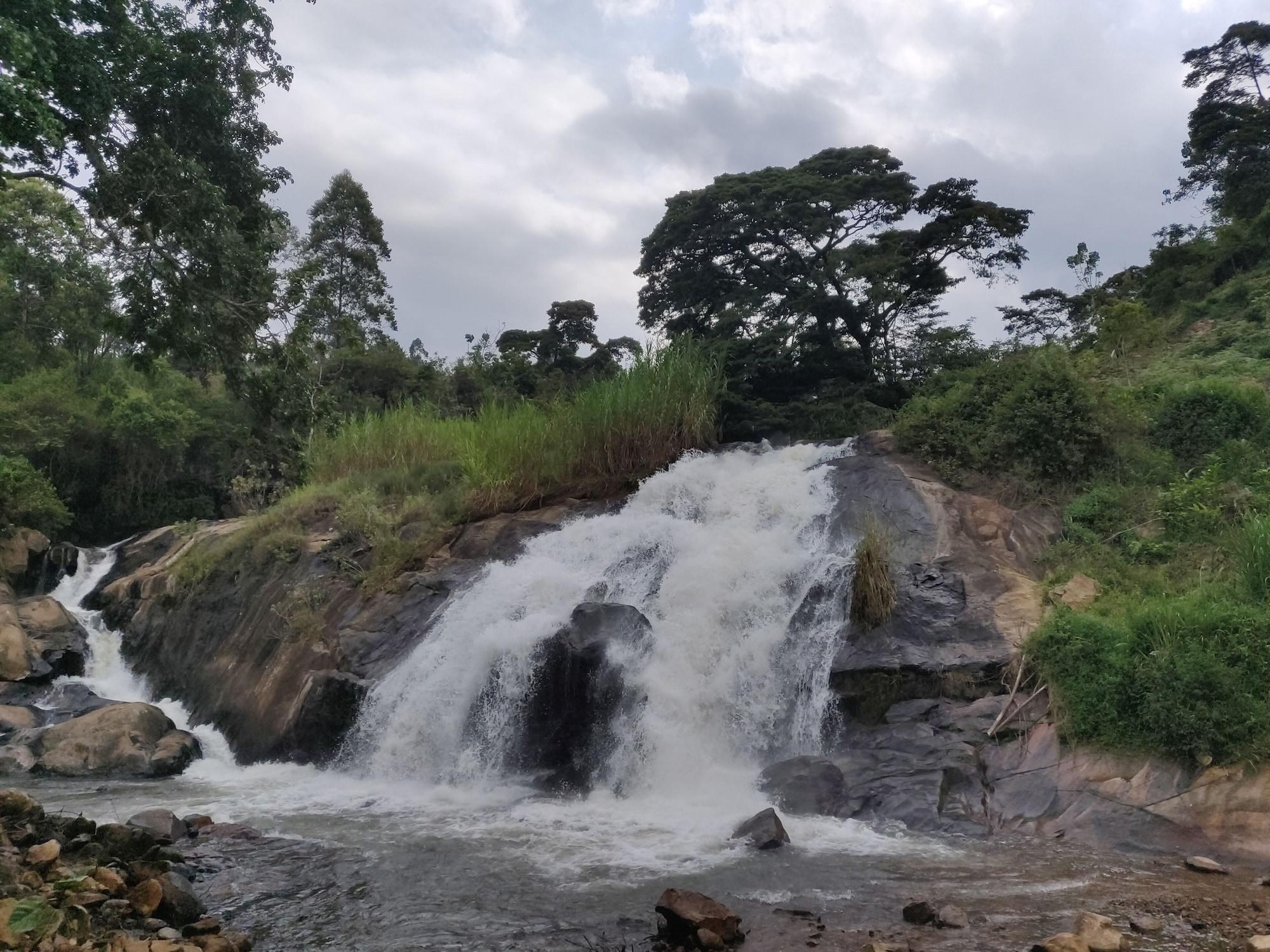 Varios TheAnabas Trout & Seafood Grill