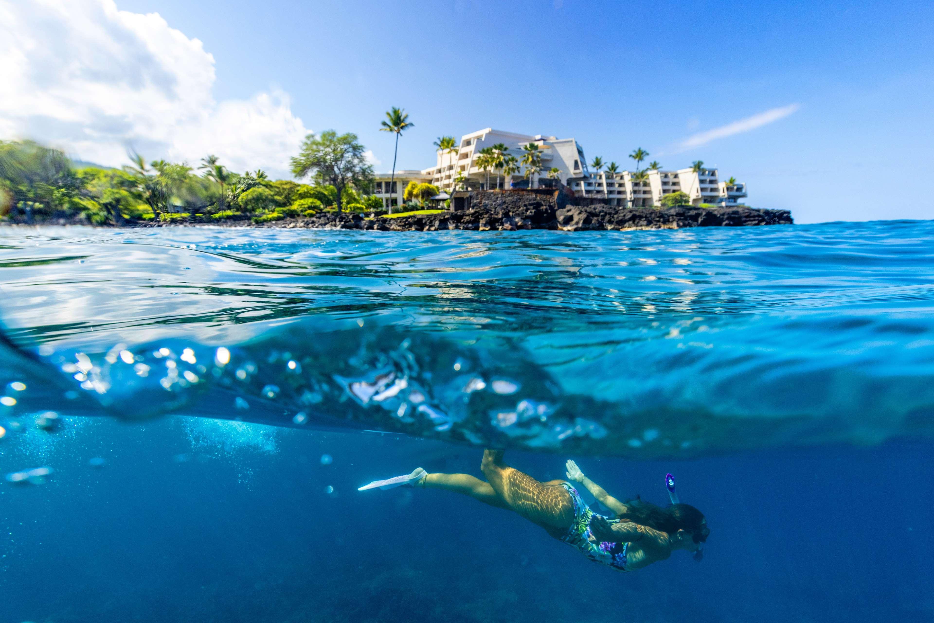 OUTRIGGER Kona Resort & Spa photo 89