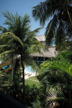 Bungalows Oasis - Hoteles pet friendly en Puerto Escondido, Oaxaca