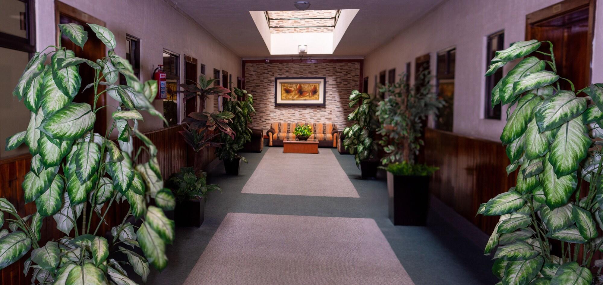 Comodidades del Alojamiento Hotel Guadalajara SLP