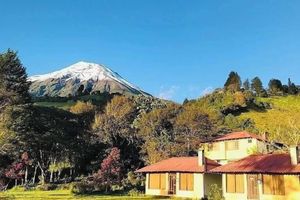 Alojamiento - Las Orquideas Runtun Lodge