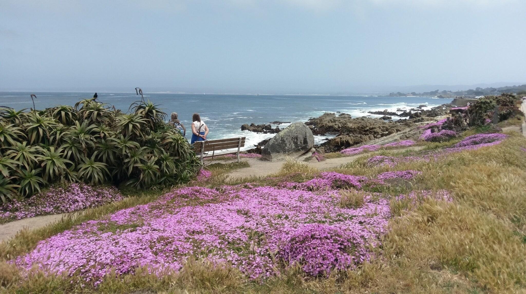 Playa Pacific Grove Inn
