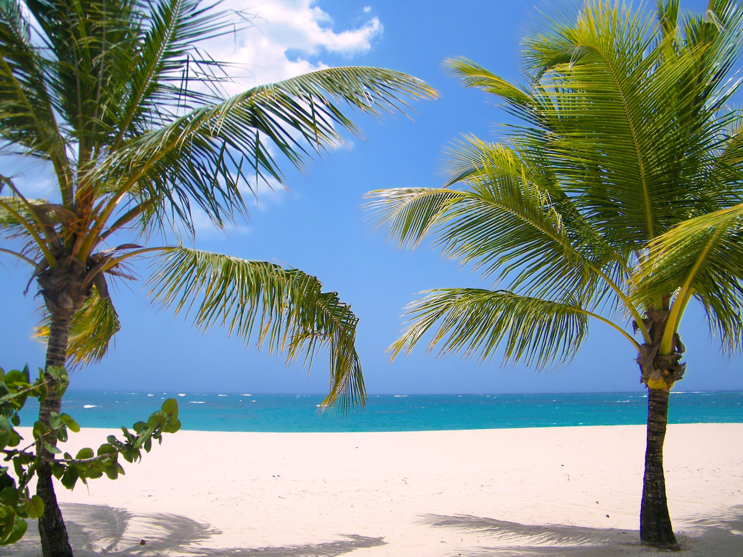 Playa Viva Heavens by Wyndham, A Trademark All Inclusive