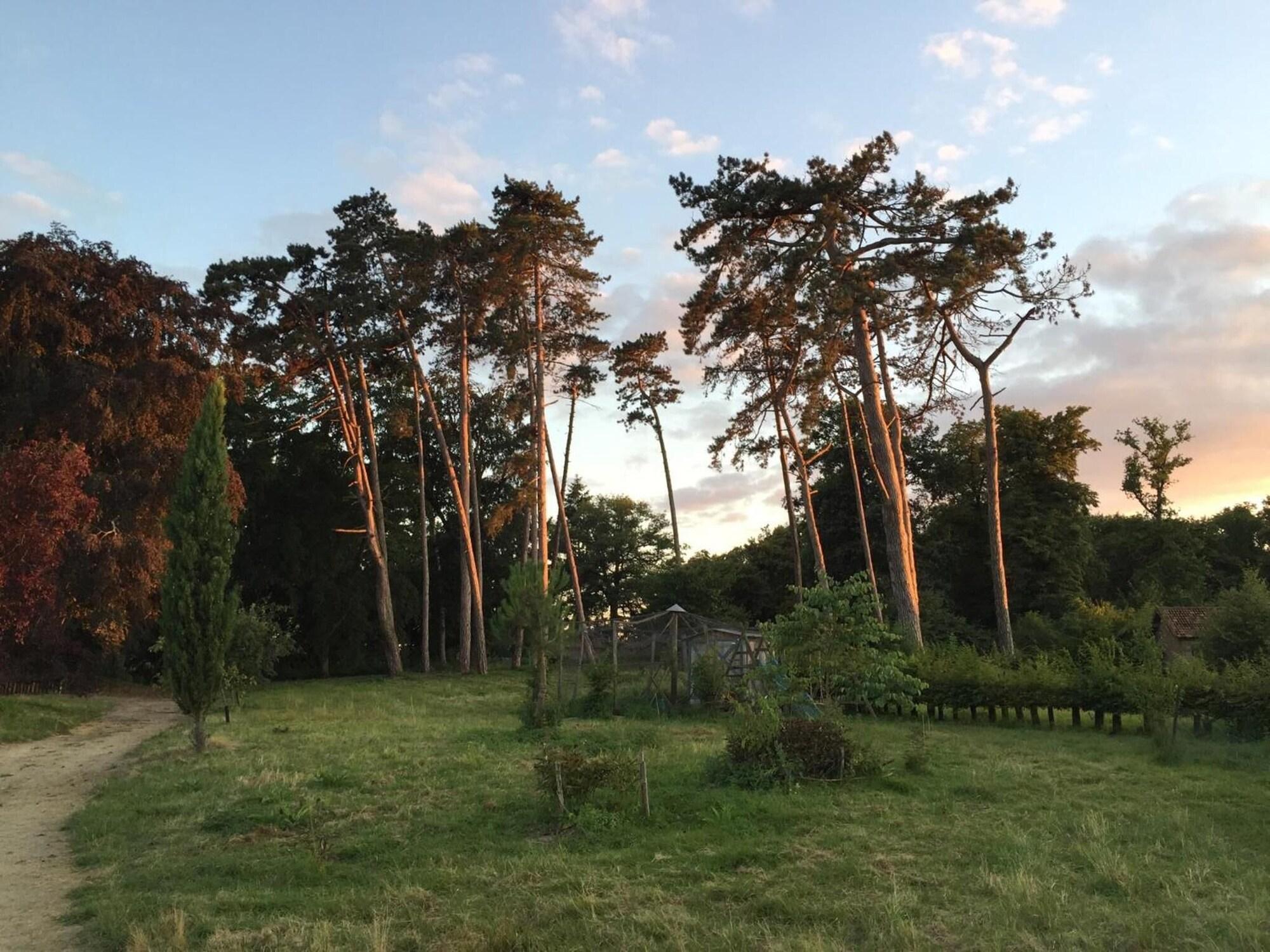 Comodidades del Alojamiento Chateau le Quesnoy