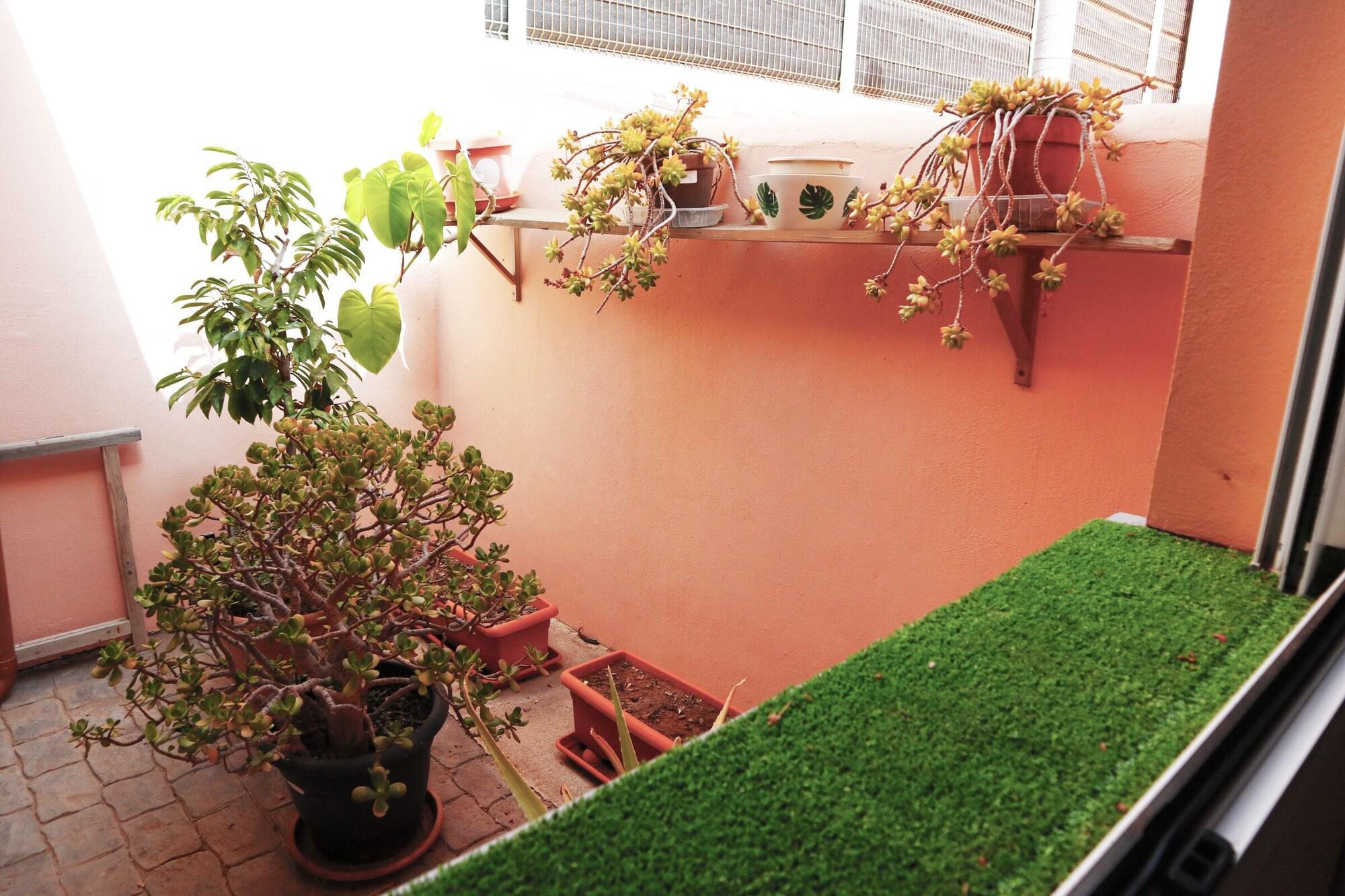 Vista Exterior Happy Room Tenerife