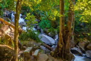 Actividad - Tour completo por Valle de Bravo