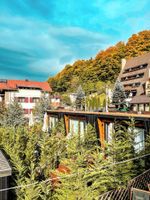 Alojamiento - Moon Montana Busteni