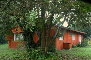 Alquiler Vacacional - Cabañas La Betty