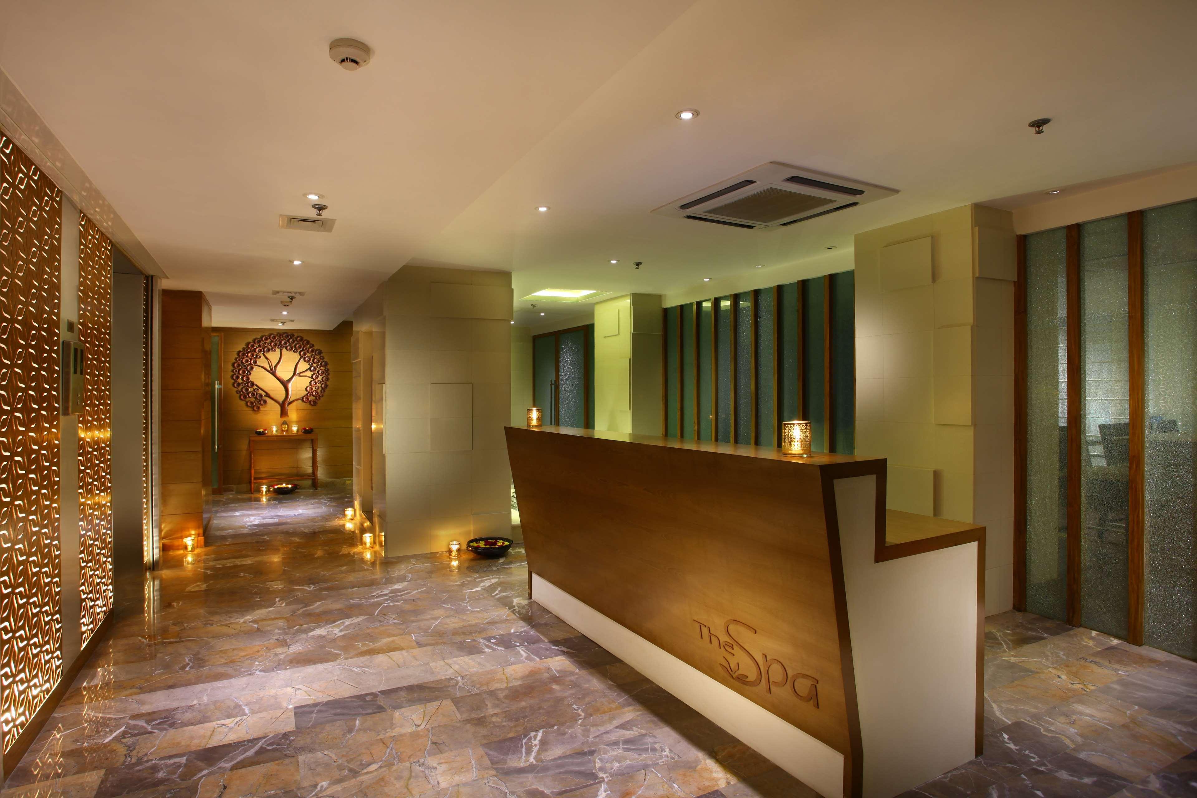 Vista Lobby Park Plaza Delhi CBD Shahdara