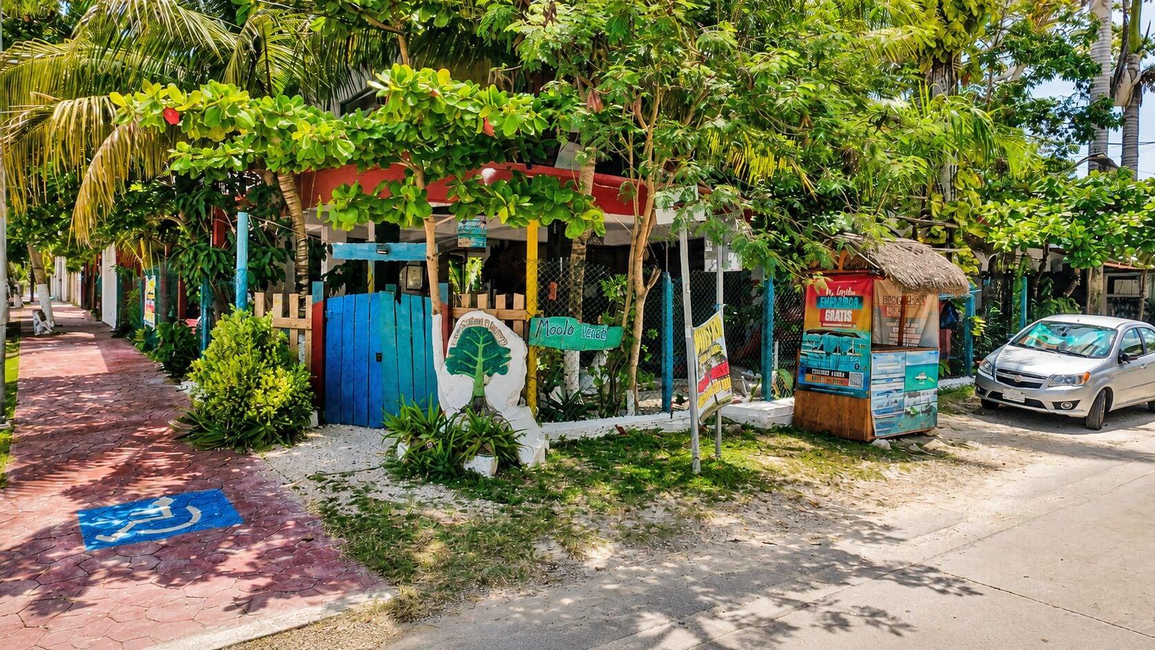 Varios Hostal & Camping El Árbol de la Vida.