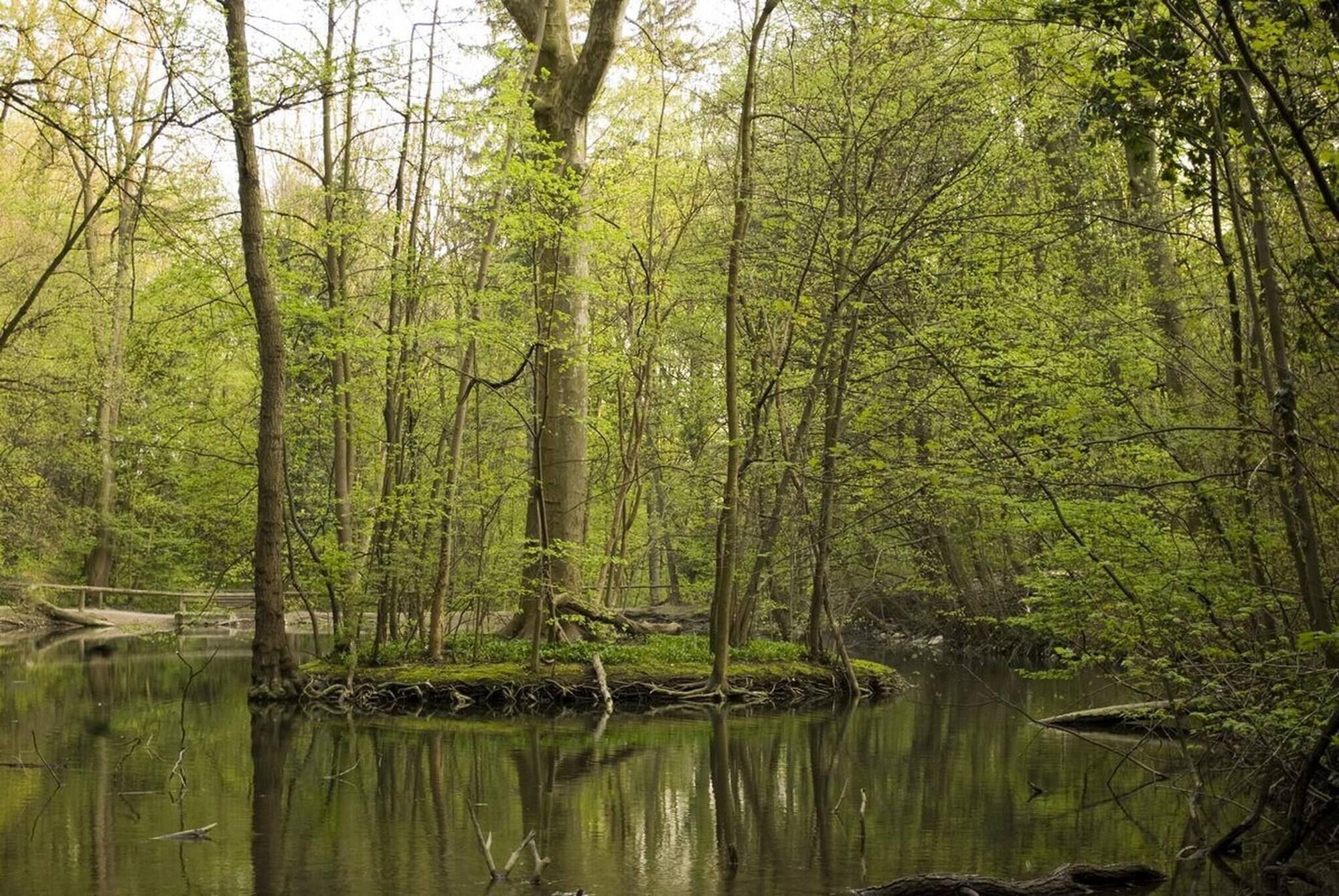 Varios Room-charming Vienna Retreat With Garden