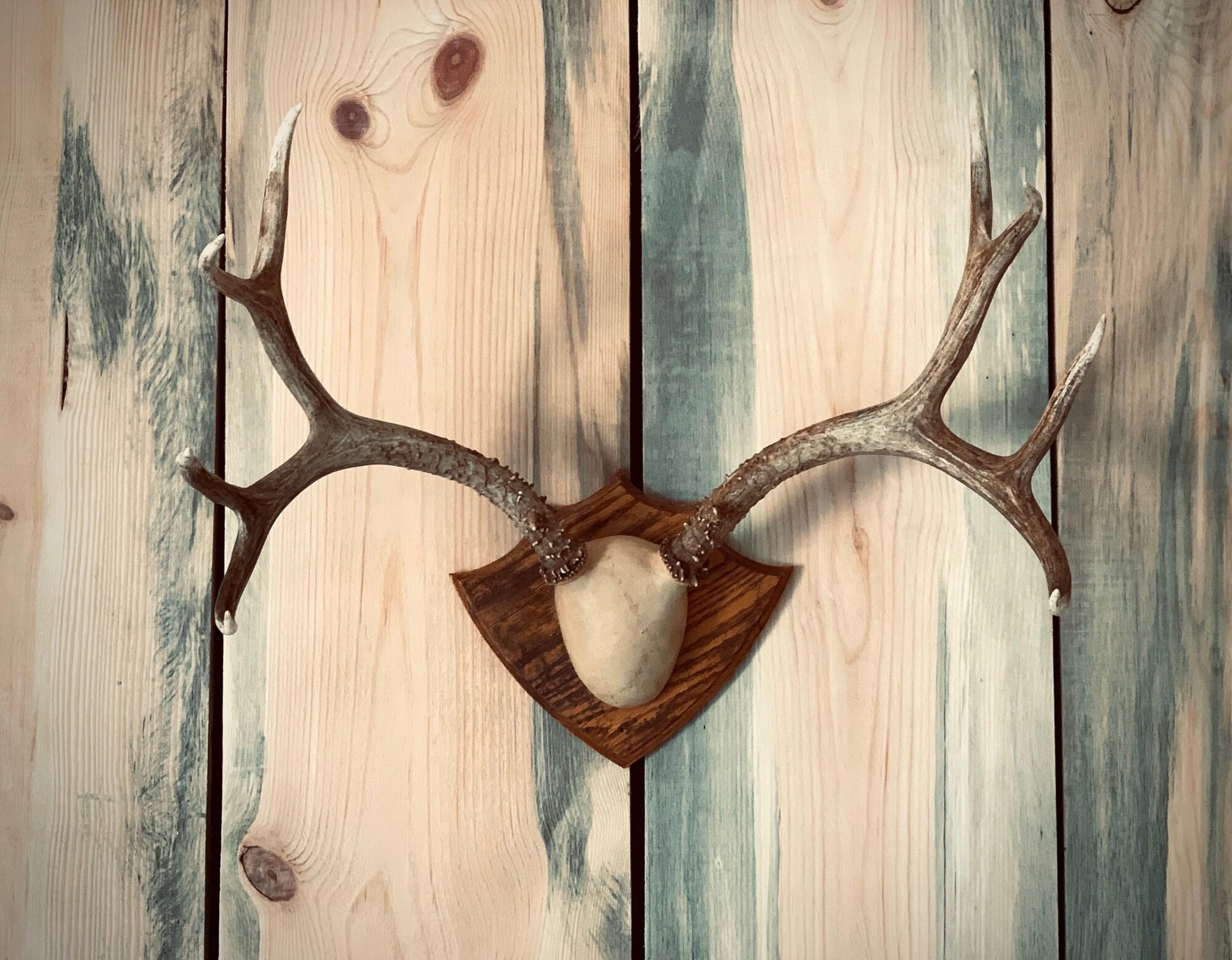 Vista Lobby Outdoors Inn